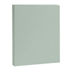 Light Sage Green Solid Canvas Print Gallery Image 8