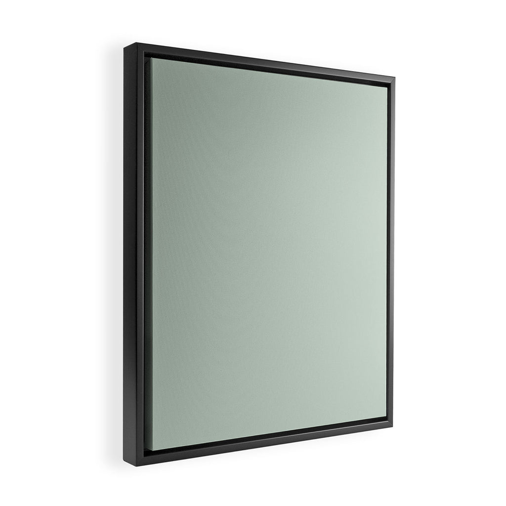 Light Sage Green Solid Framed Canvas Print Gallery Image 2