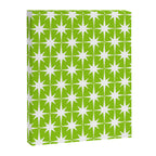 Mid Century Modern Atomic Age Starburst Pattern Lime Green & White Canvas Print Gallery Image 6