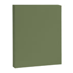 Moss Green Sage Solid Color  Canvas Print Gallery Image 8