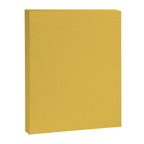 Mustard Yellow Solid Canvas Print Gallery Image 8