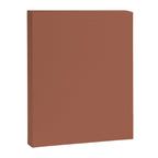 Muted Auburn Terracotta Clay Solid  Canvas Print Gallery Image 8