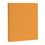 Orange Marigold Solid Colour Canvas Print Gallery Image 8