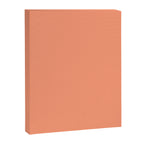 Peachy Salmon Peach Solid Colour Canvas Print Gallery Image 8