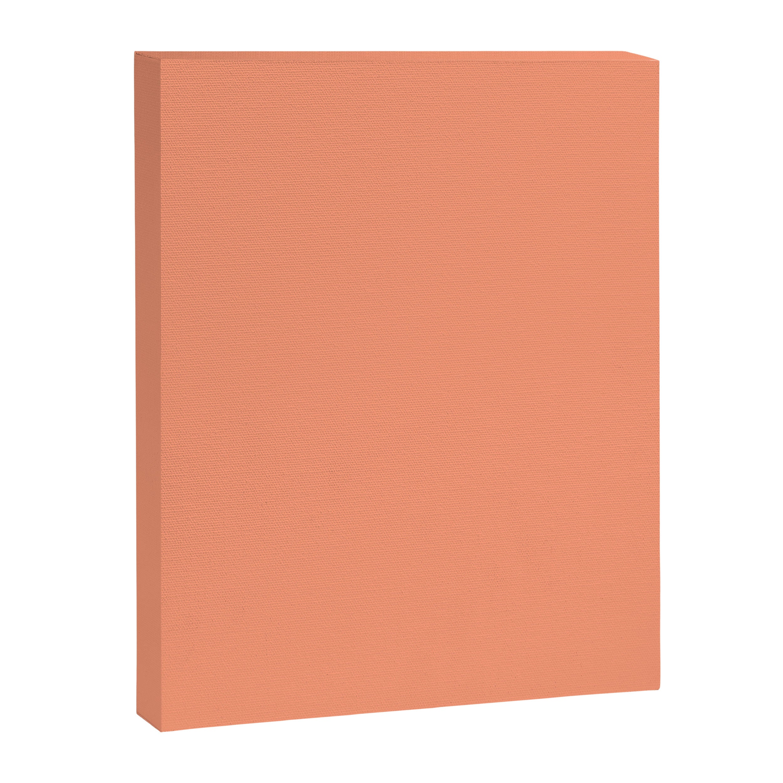 Peachy Salmon Peach Solid Colour Canvas Print Gallery Image 8