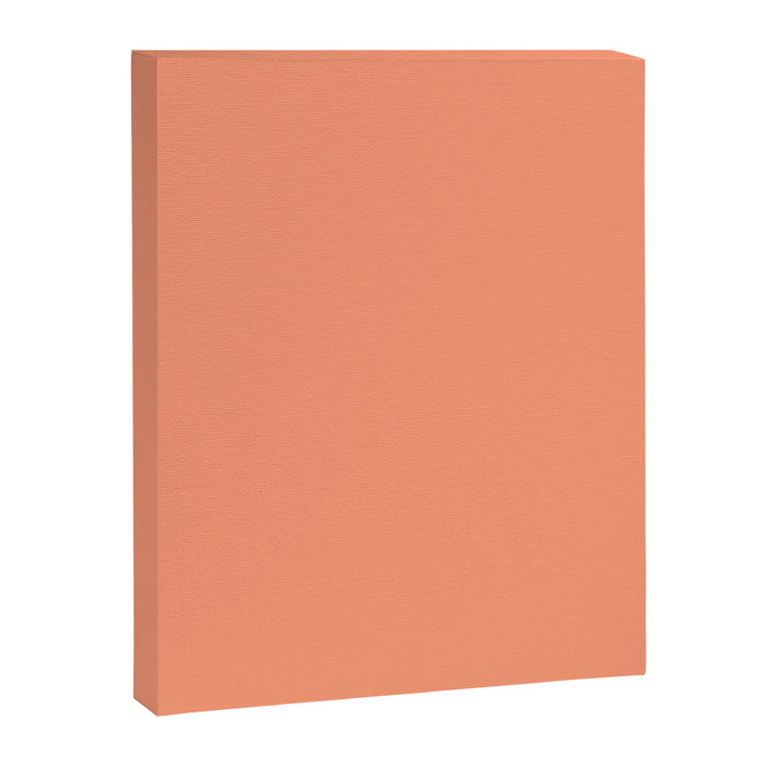 Peachy Salmon Peach Solid Colour Canvas Print Gallery Image 1