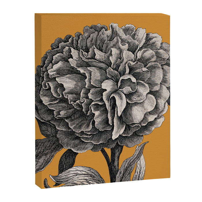 Peony Flower Vintage Modern Botanical Floral Illustration on Butterscotch  Canvas Print Gallery Image 1