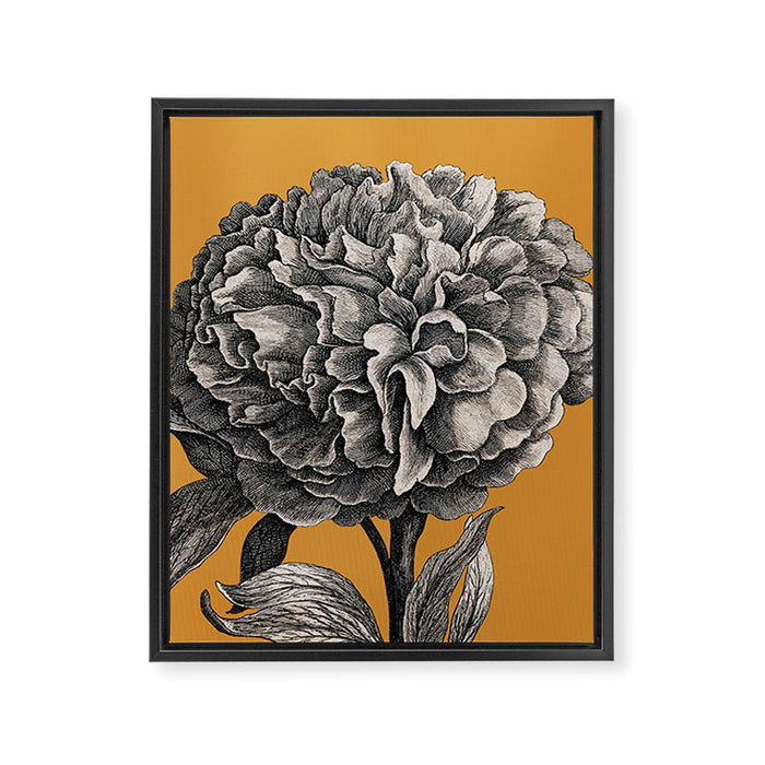 Peony Flower Vintage Modern Botanical Floral Illustration on Butterscotch  Framed Canvas Print Gallery Image 1
