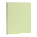 Pistachio Ice Cream Light Green Solid Canvas Print Gallery Image 8