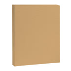 Soft Camel Solid Color Canvas Print Gallery Image 8