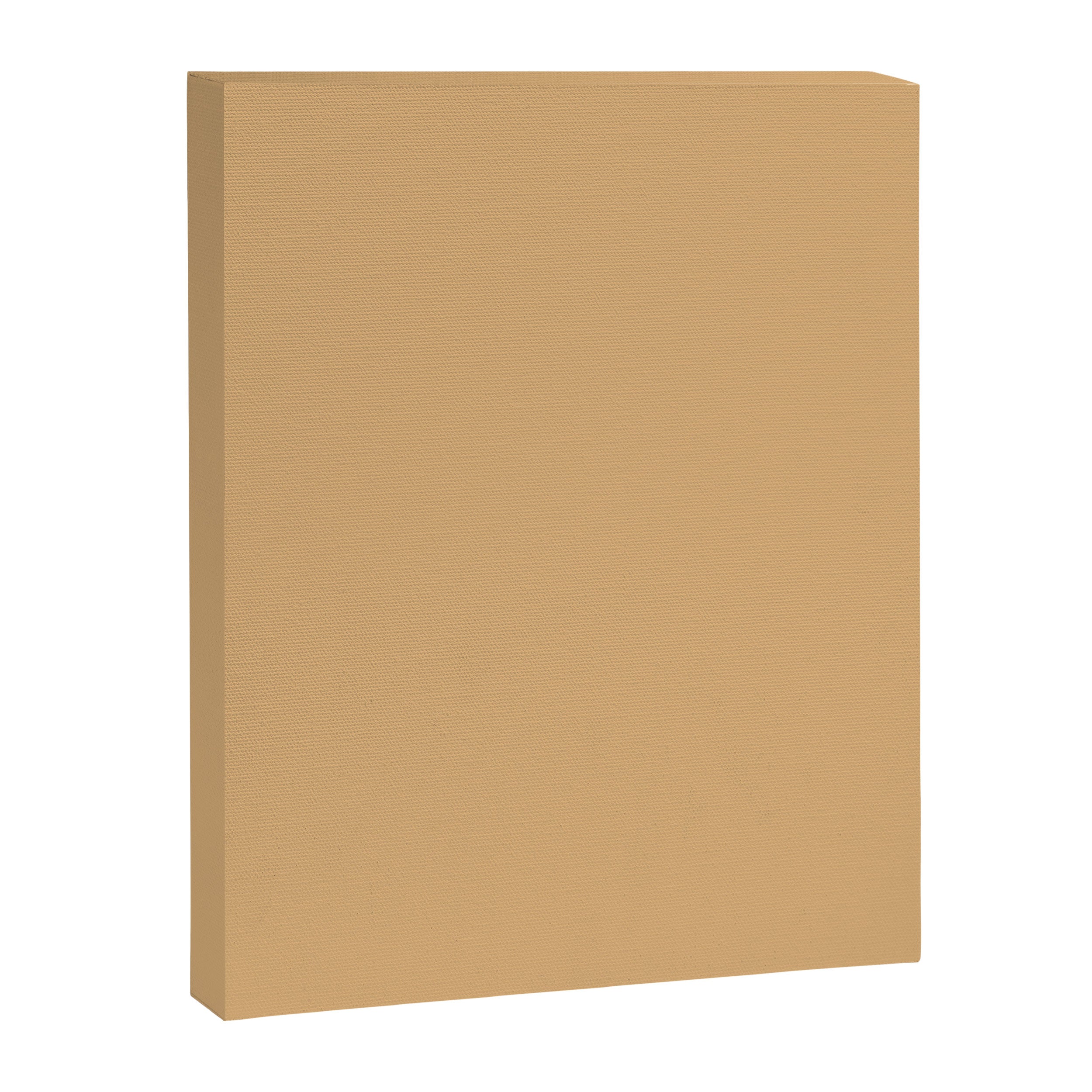 Soft Camel Solid Color Canvas Print Gallery Image 8