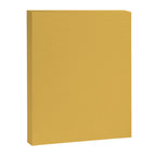 Soft Mustard Solid Canvas Print Gallery Image 8