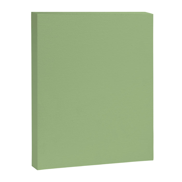Solid Light Sage Green  Canvas Print Gallery Image 1