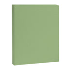 Solid Light Sage Green  Canvas Print Gallery Image 8