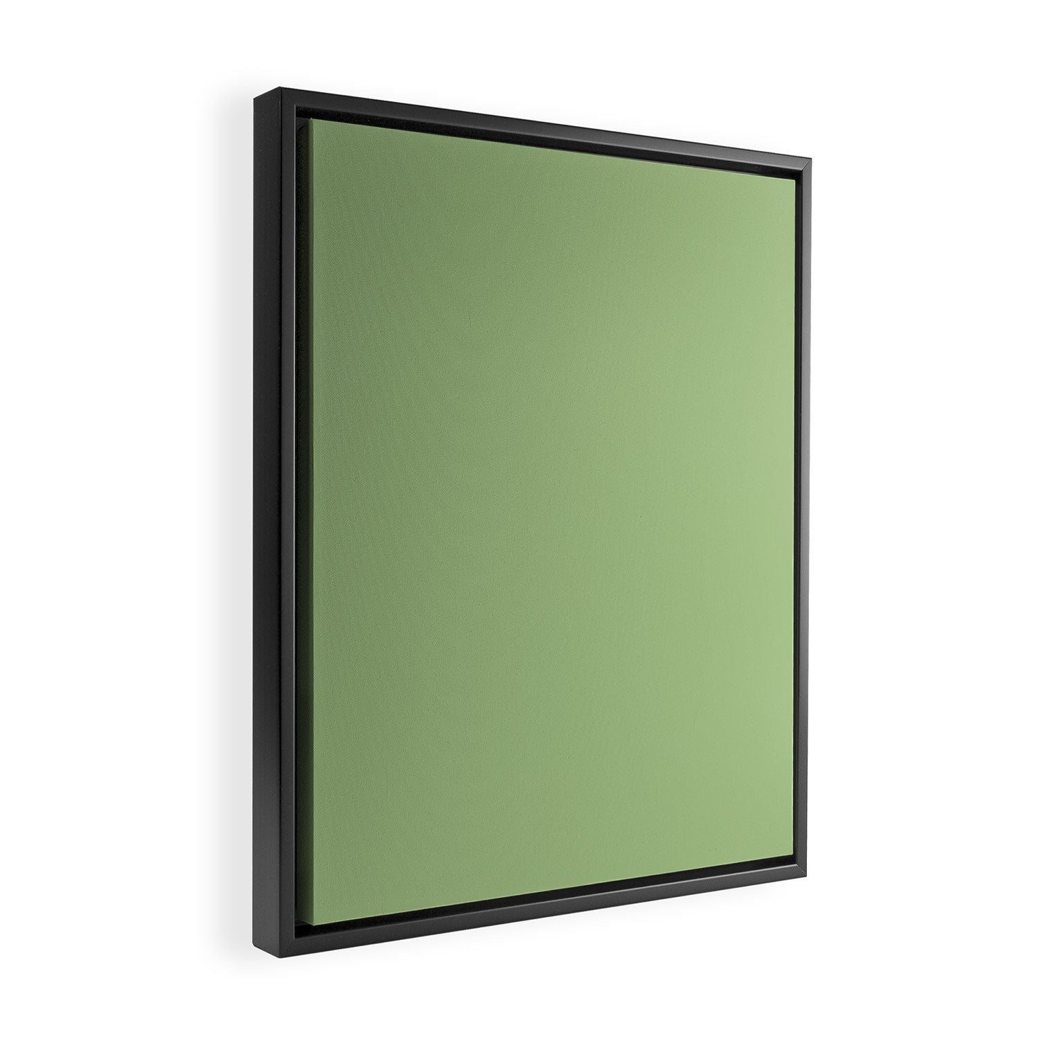Solid Light Sage Green  Framed Canvas Print Gallery Image 2