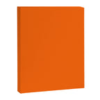 Solid Retro Orange Canvas Print Gallery Image 8