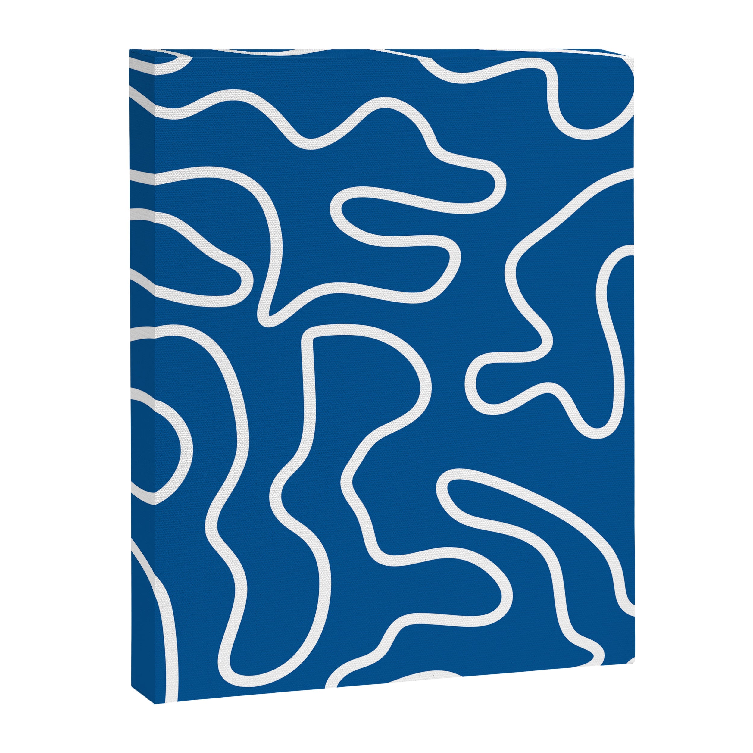 Squiggle Maze Minimalist Abstract Pattern in Blue and White Canvas Print Gallery Image 8