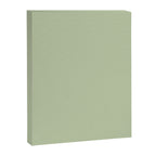 The Light Sage Green Solid Canvas Print Gallery Image 8