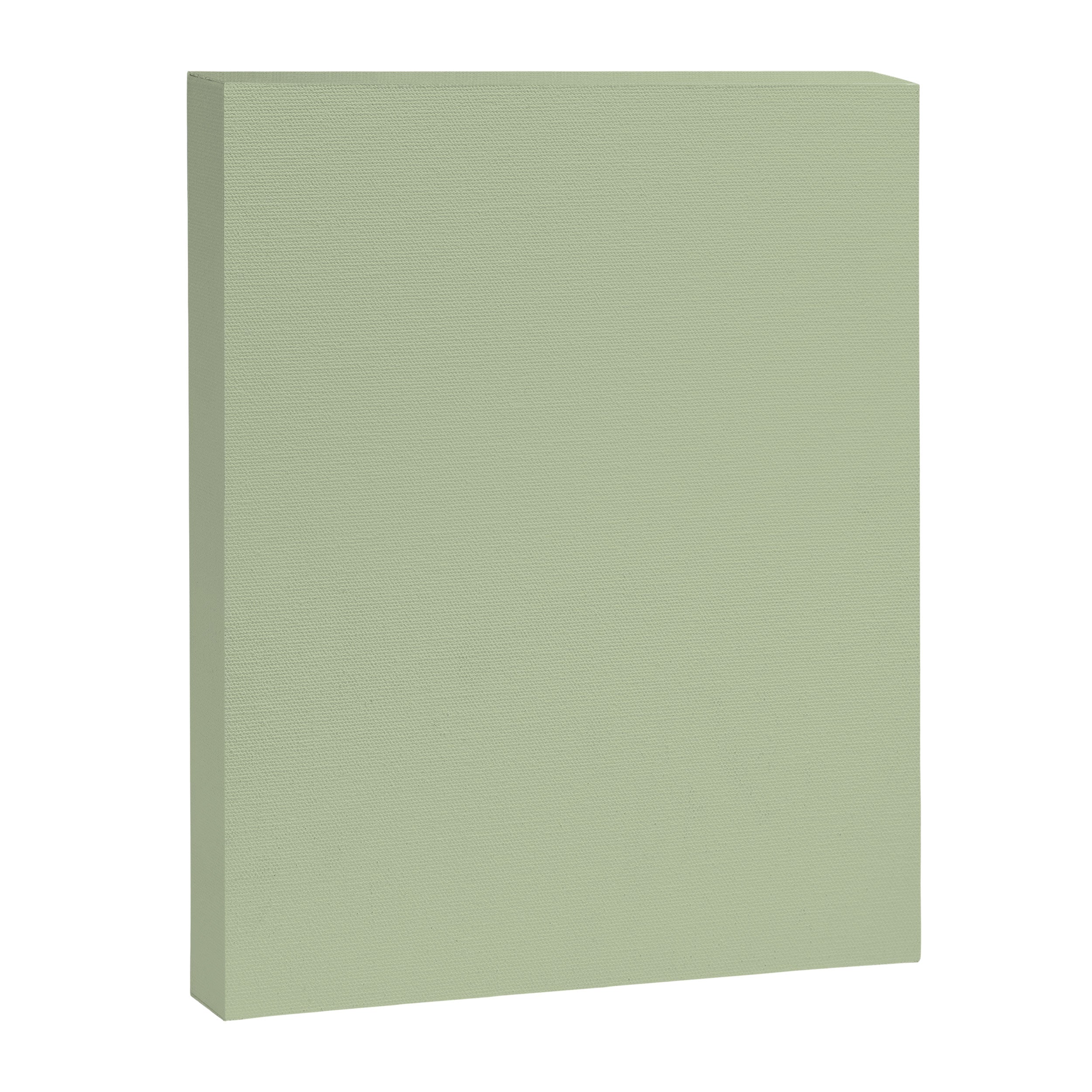 The Light Sage Green Solid Canvas Print Gallery Image 8