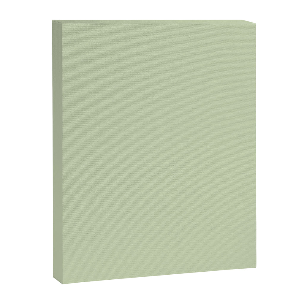 The Pale Sage Green Solid Canvas Print Gallery Image 8