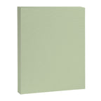 The Pale Sage Green Solid Canvas Print Gallery Image 8