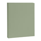 The Sage Green Solid  Canvas Print Gallery Image 8