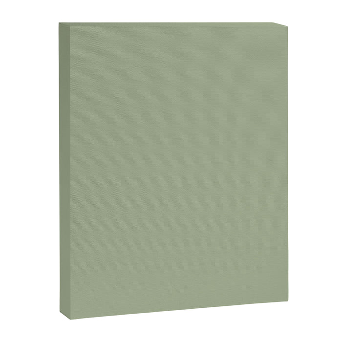 The Sage Green Solid  Canvas Print Gallery Image 1
