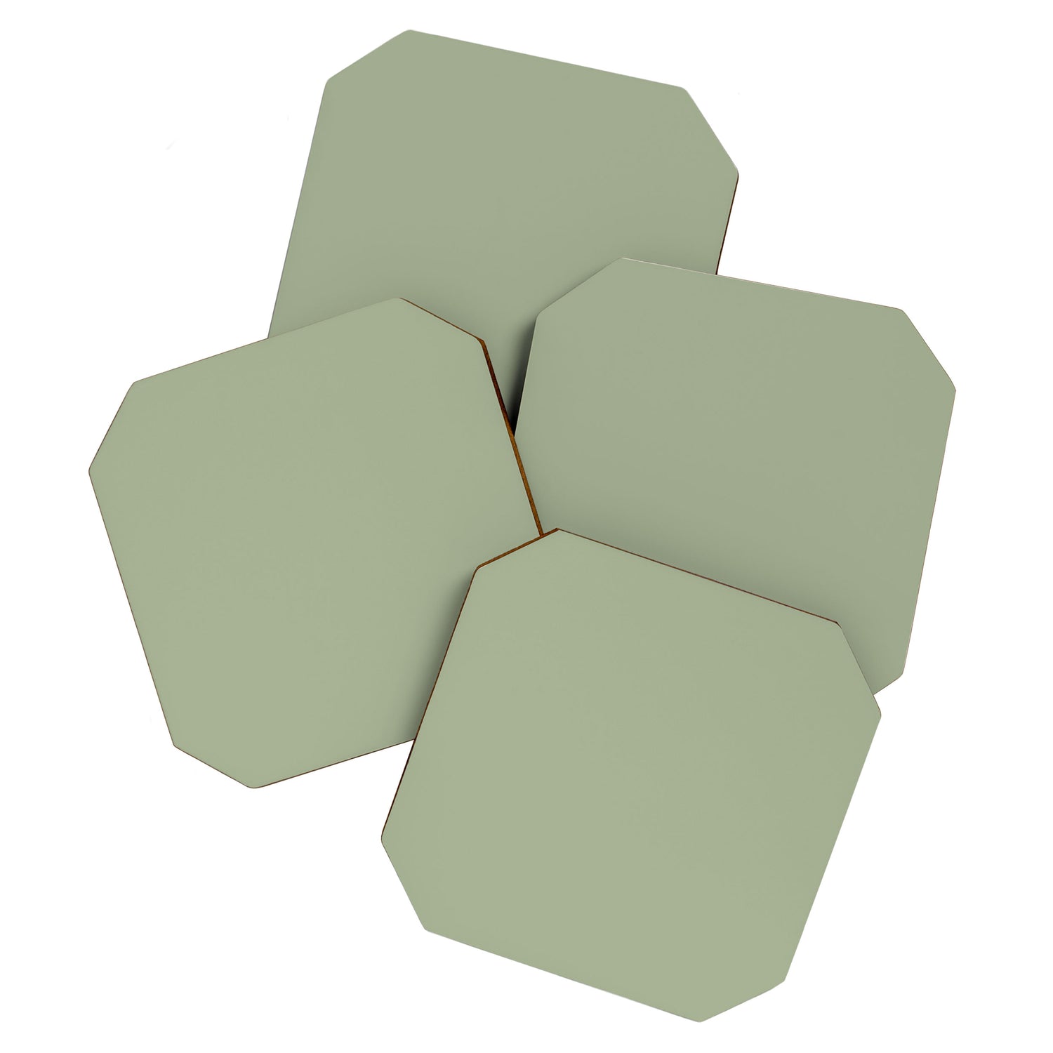 The Sage Green Solid  Coaster Gallery Image 1
