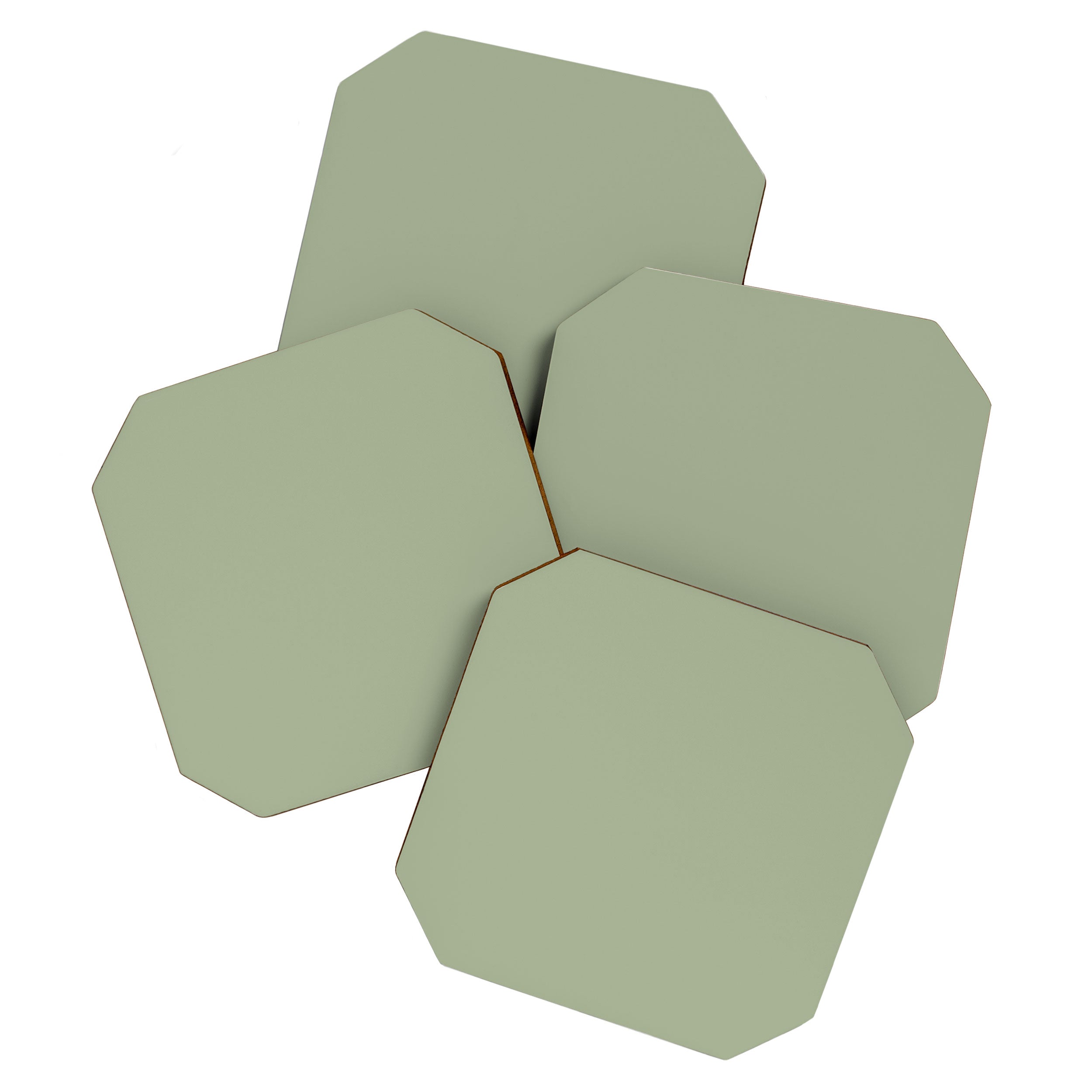 The Sage Green Solid  Coaster Gallery Image 1