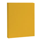 True Mustard Yellow Solid Canvas Print Gallery Image 8