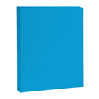 Vivid Blue Solid Accent Color Canvas Print Gallery Image 8