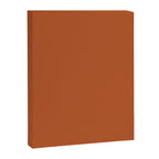 Warm Spiced Orange Solid Color Canvas Print Gallery Image 8