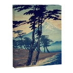 Late swimming after the floods in Hainsay Canvas Print Gallery Image 6