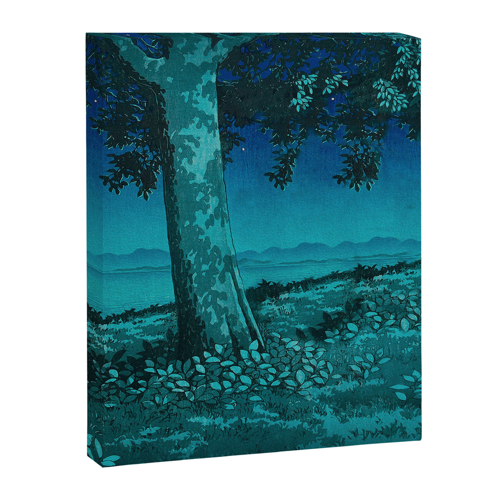 Nightime in Gissei - Nature Landscape Canvas Print Gallery Image 8