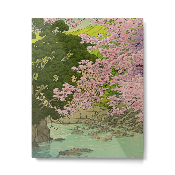 Shaha - A Place Called Home - Nature Landscape Metal Print Gallery Image 1