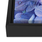 Hydrangea Framed Canvas Print Gallery Image 3