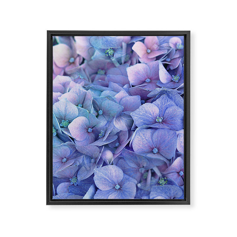 Hydrangea Framed Canvas Print Gallery Image 8