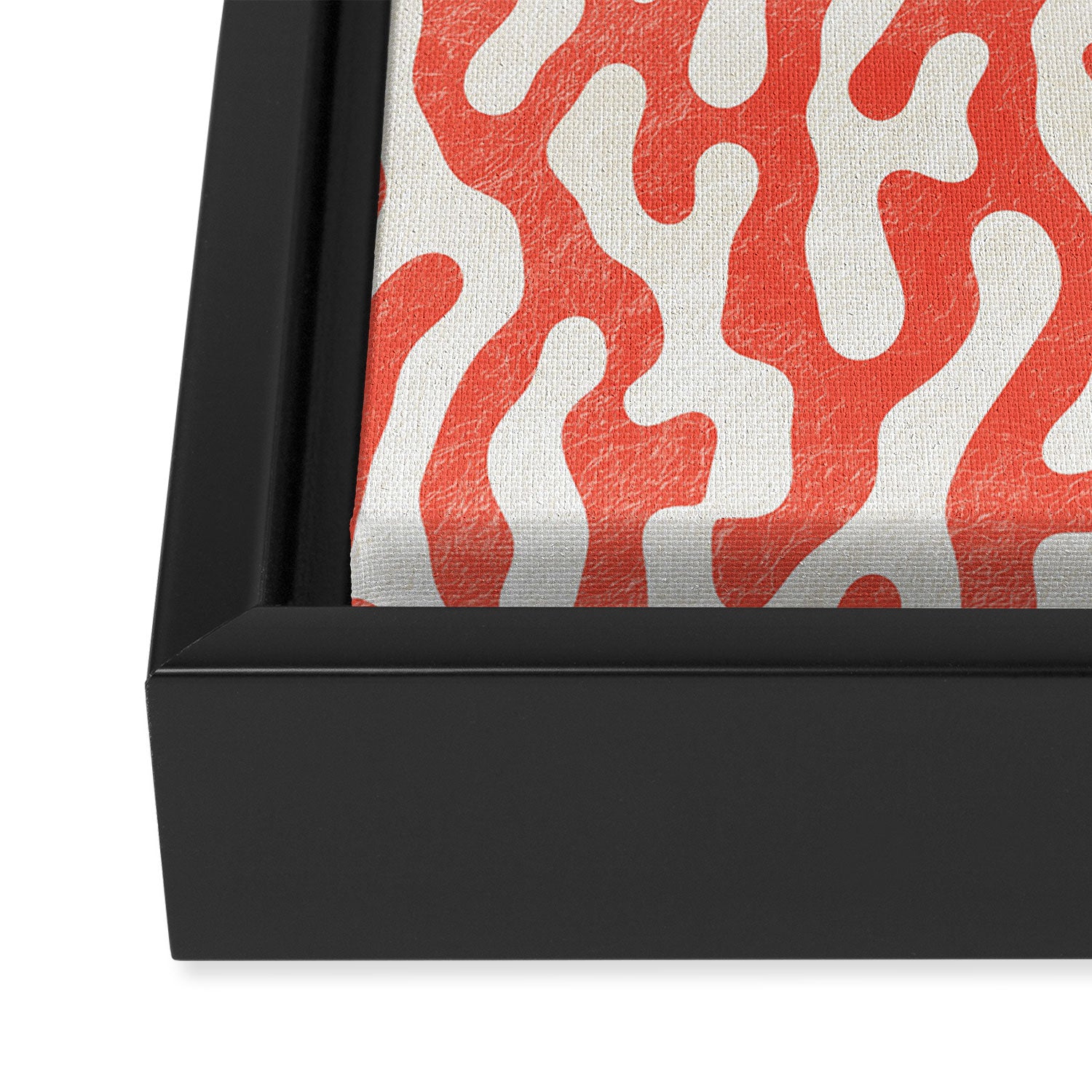 Living Coral Organic Pattern 2 Framed Canvas Print Gallery Image 3