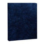 Blue Velvet Canvas Print Gallery Image 8