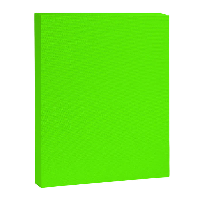 fluorescent neon green Canvas Print Gallery Image 1