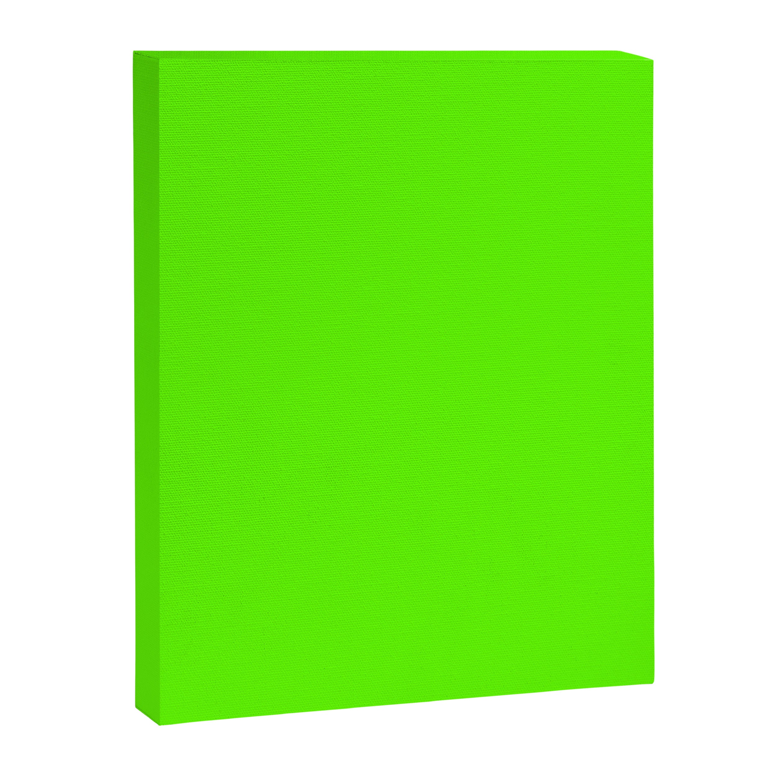 fluorescent neon green Canvas Print Gallery Image 8
