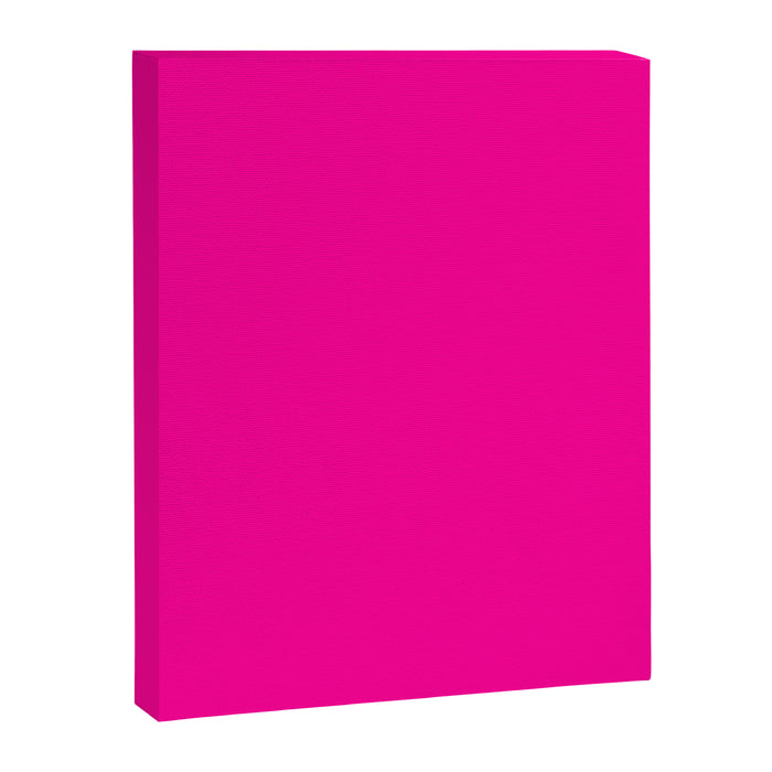 Fluorescent Pink Canvas Print Gallery Image 1