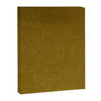 Mustard Velvet Canvas Print Gallery Image 8