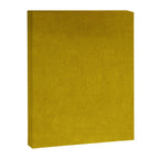 Mustard Velvet Canvas Print Gallery Image 8