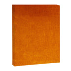 Orange Velvet Canvas Print Gallery Image 8