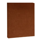 Rust Velvet Canvas Print Gallery Image 8