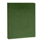 Sage Green Velvet texture Canvas Print Gallery Image 8