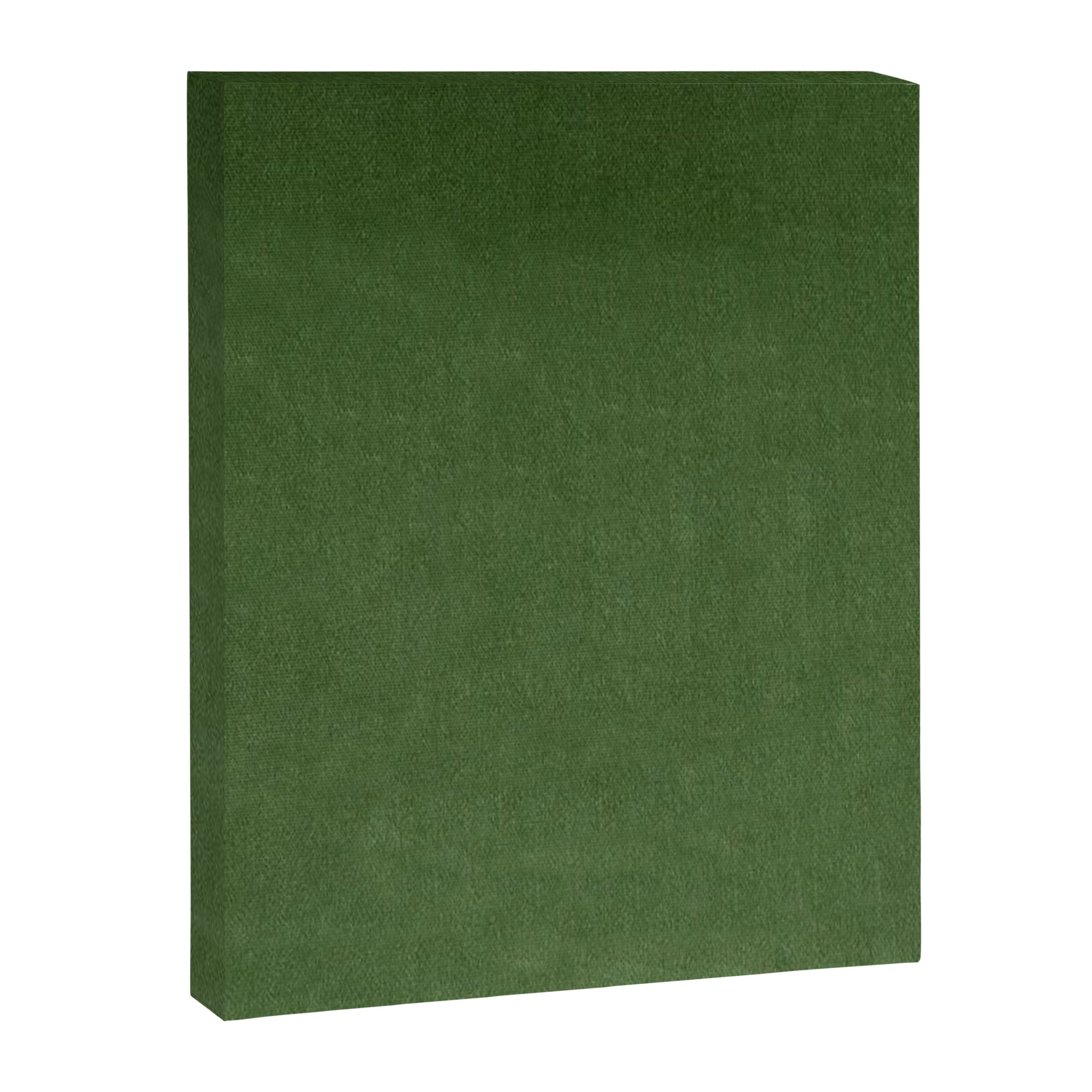 Sage Green Velvet texture Canvas Print Gallery Image 8