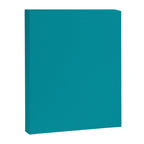 Teal Color Canvas Print Gallery Image 8
