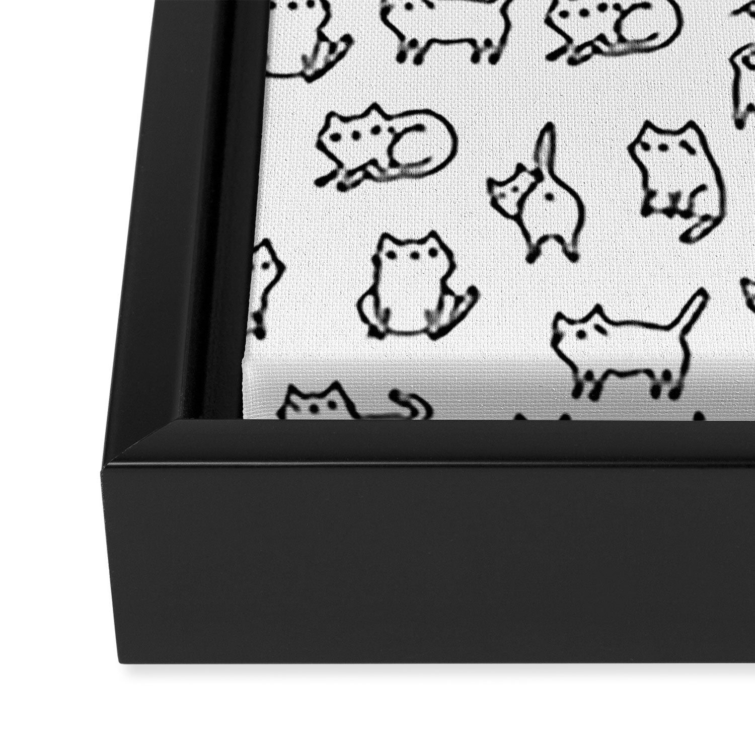 Cats, cats, cats Framed Canvas Print Gallery Image 3